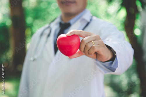 Fototapeta Naklejka Na Ścianę i Meble -  Close up of Doctor hands with red heart, cardiology concept.