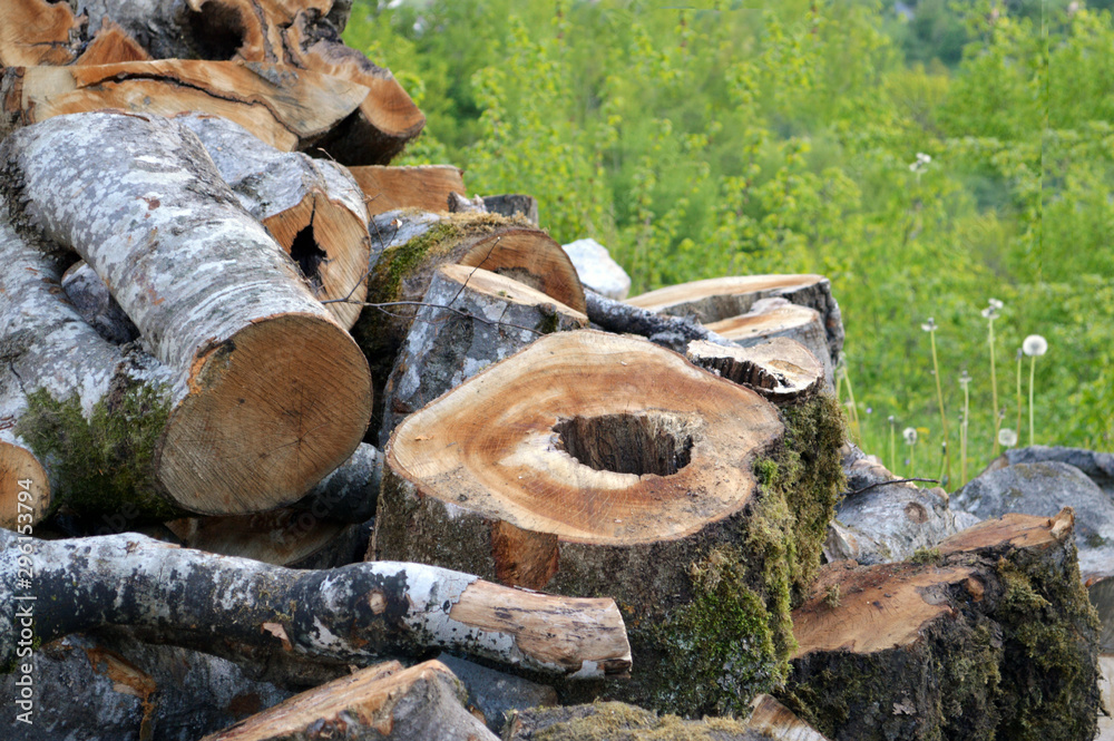 Wood Logs. Wood for fireplace. Wood for winter. Wood Logs. Wood for fireplace. Wood for winter.