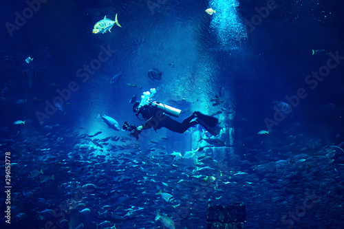 Photography Man diver diving in blue mystic background with fishes