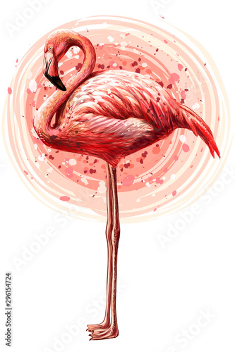  Pink flamingo. Hand-drawn, artistic, flowered image of a flamingo bird on a white background in a watercolor style.