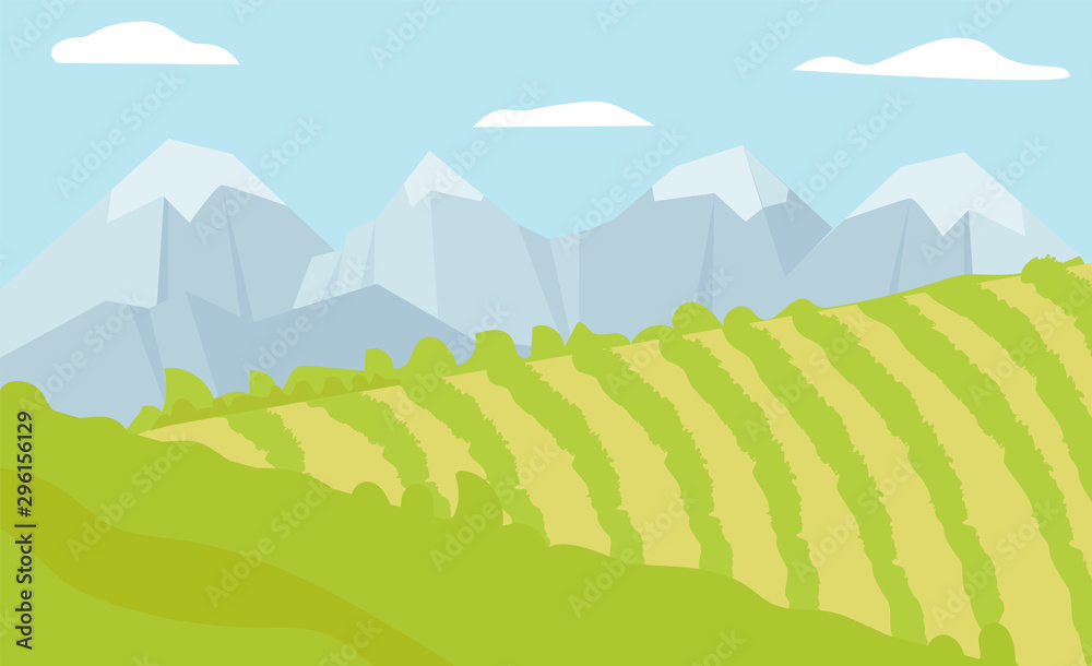 Vector illustration of  summer fields. Flat landscape with a dawn, green hills, mountains, blue sky. Natural background.