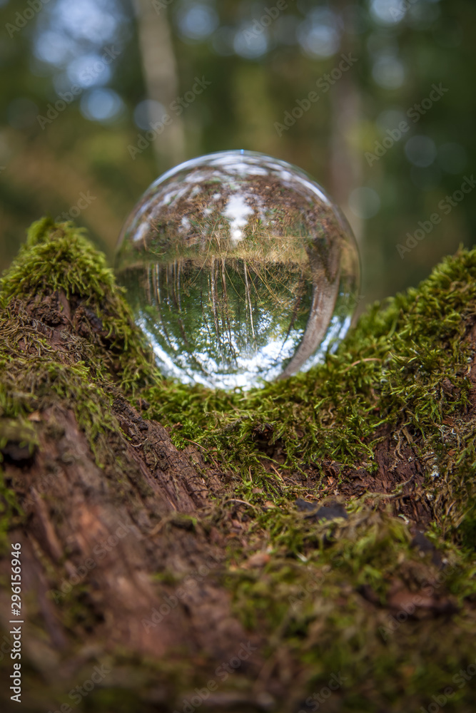 Glaskugel im Wald Blick hindurch gespiegelt Glaskugel im Wald Blick hindurch gespiegelt