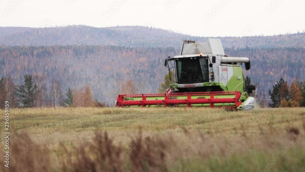 The harvester collects ripened wheat on the field. The harvester collects ripened wheat on the field.
