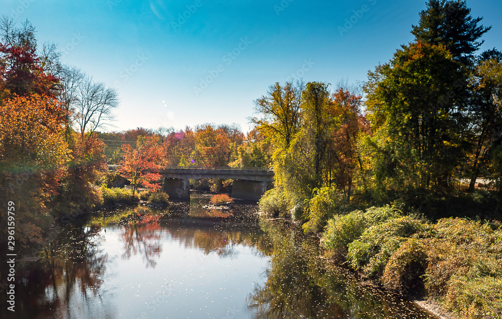 autumn in the park