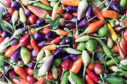 A pile of multicolored hot peper.