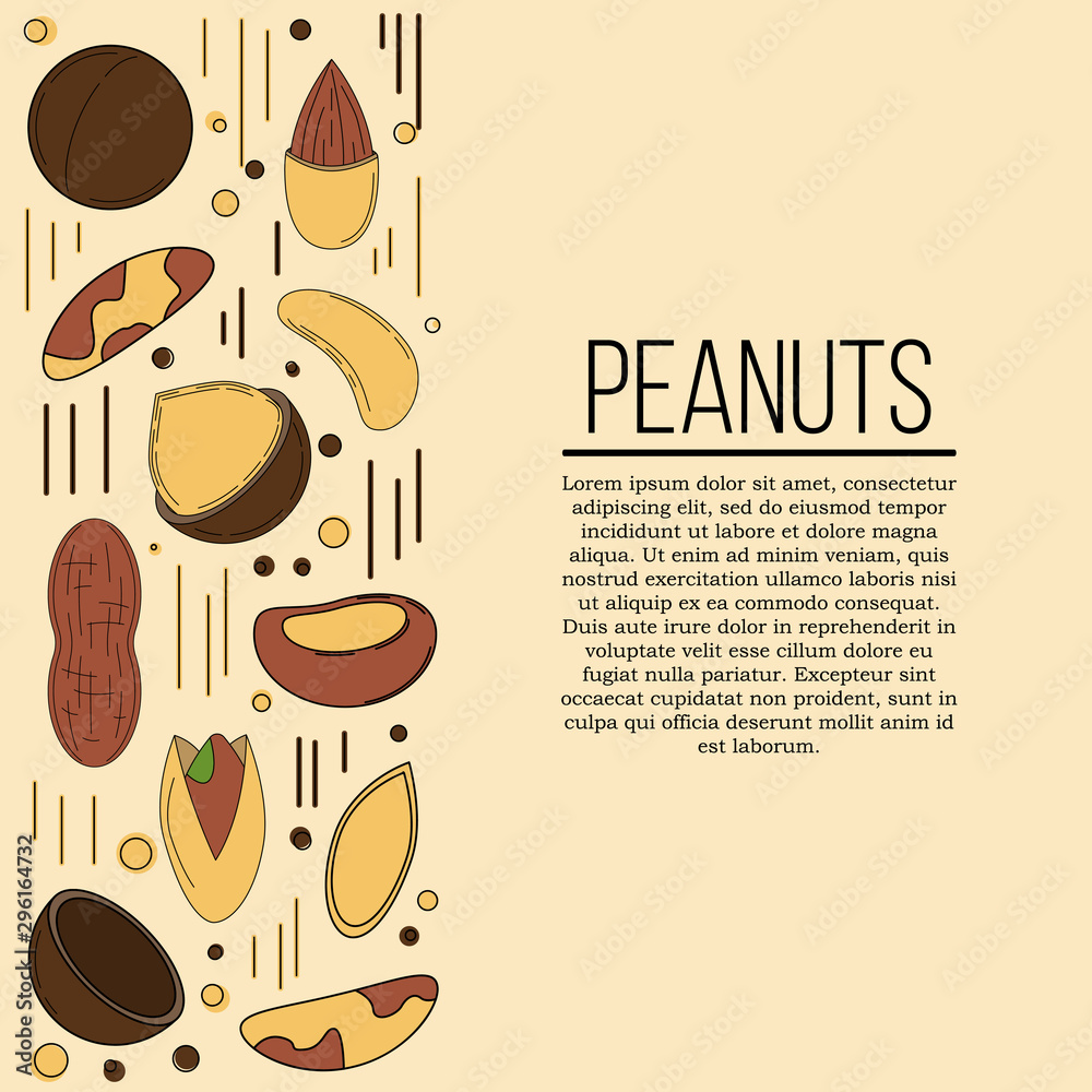 Nuts card concept. Vector illustration for design and web,