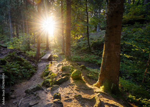 Die letzten Sonnenstrahlen des Tages im Teutoburger Wald, Silberbachtal, Horn-Bad Meinberg, Deutschland