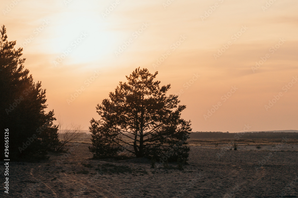 Last walk before sunset Błędów desert in Poland the biggest from all Europe sunrise Last walk before sunset Błędów desert in Poland the biggest from all Europe sunrise