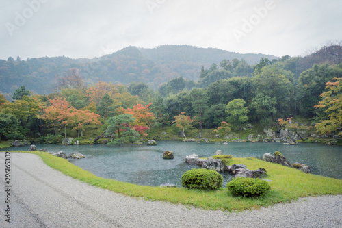 garden in the mountains