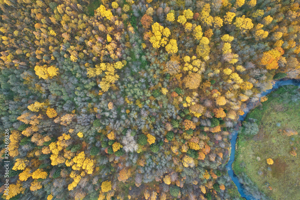 Aerial view with a drone. Winding river with autumn forest, top view Aerial view with a drone. Winding river with autumn forest, top view