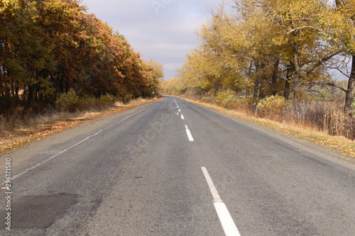 Asphalt rural road. Autumn trees with yellow leaves on both sides of the road.