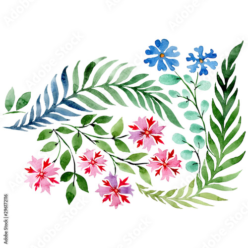 Ornament floral botanical flowers. Watercolor background illustration set. Isolated bouquets illustration element.