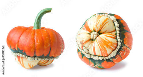 Orange-green decorative pumpkin isolated on a white background. Autumn harvest season. photo