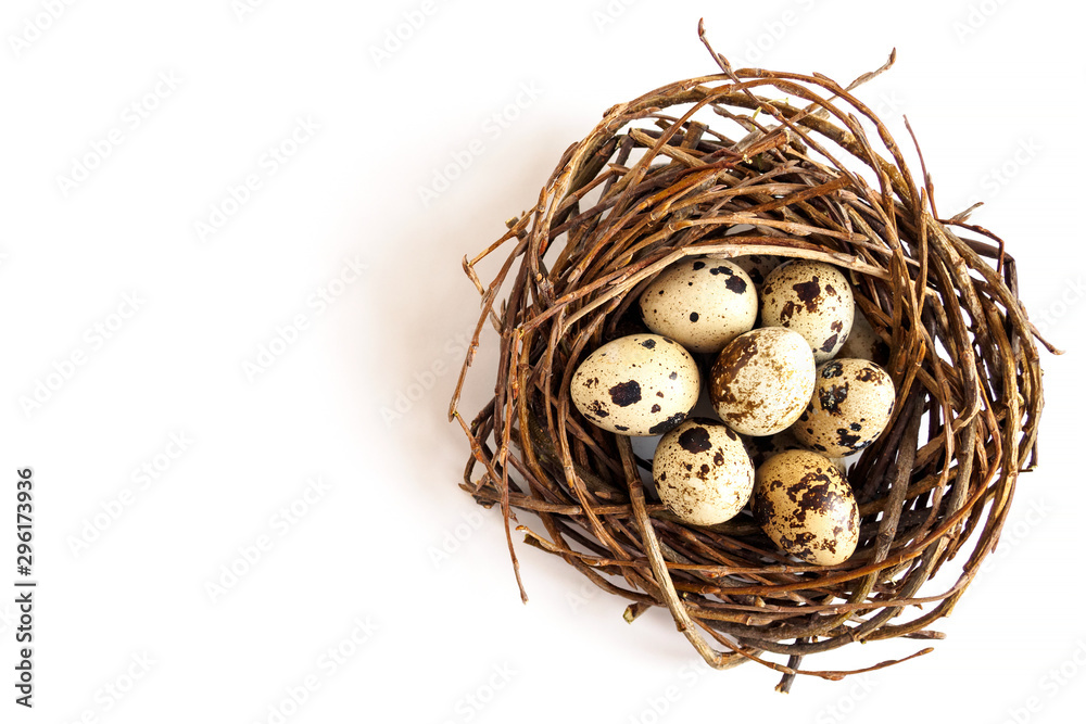 Top view of quail eggs in nest on white background. Easter concept, copy space for text
