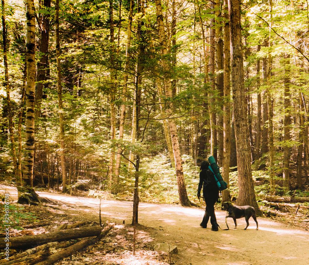 a girl walking with her dog on a hike in the woods