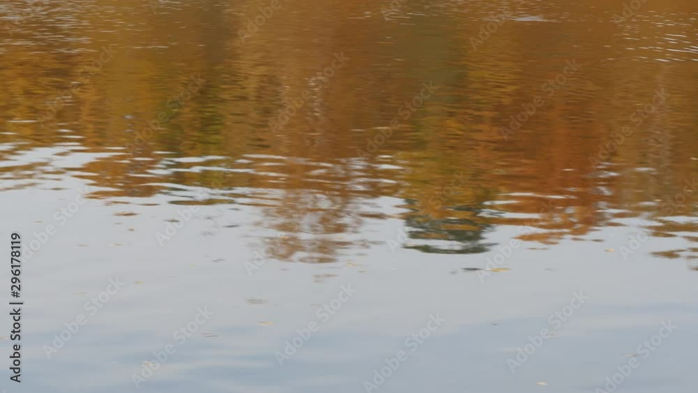 Reflection Of Autumn Forest In Water Of Lake Reflection Of Autumn Forest In Water Of Lake