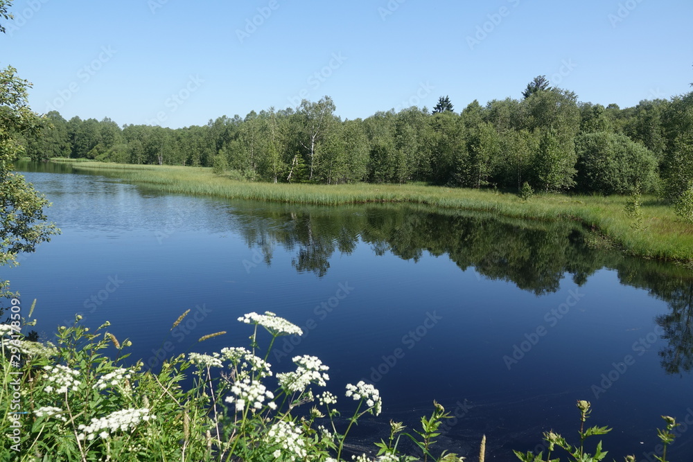 Obraz premium Rotes Moor in der Rhön
