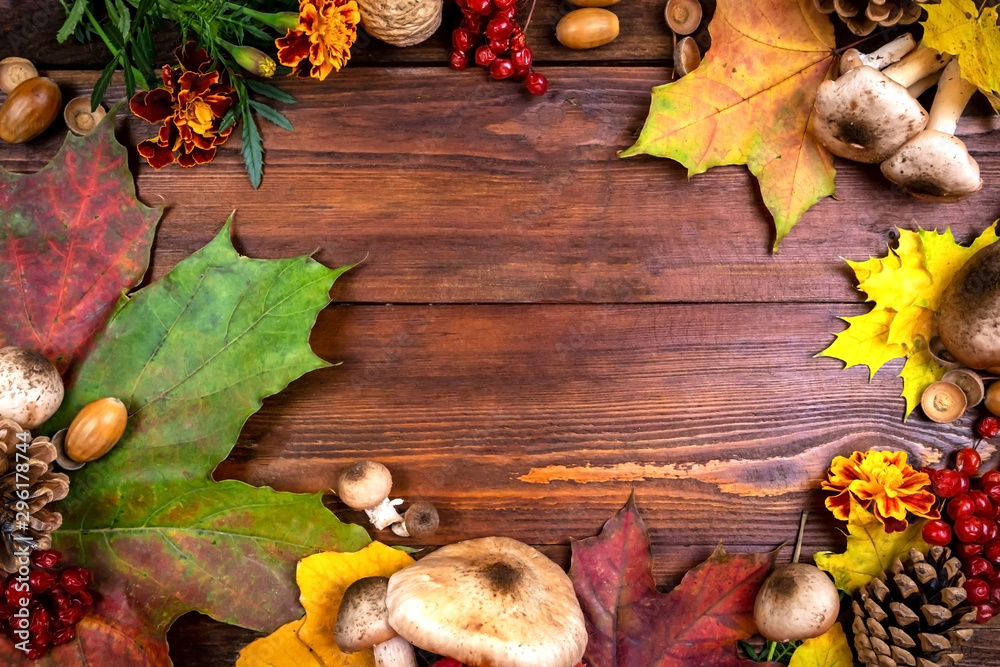 Autumn background of yellow and colored leaves, cones and nuts. place for text. Autumn background of yellow and colored leaves, cones and nuts. place for text.