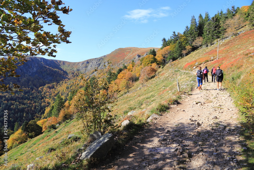 Sentier de la vallée de Munster en automne (Hohneck)