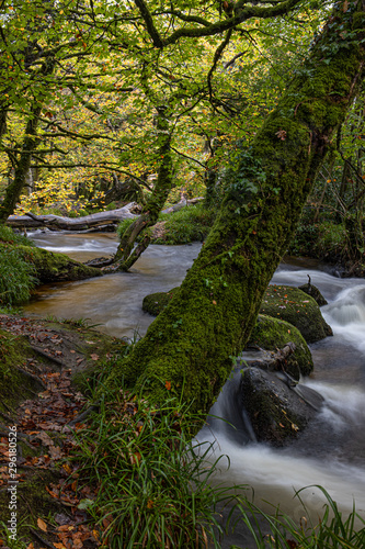 Golitha Falls in the beginning of Autumn 