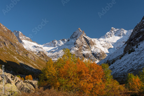 Autumn landscape, mountains in the snow with blue sky surrounded by green bushes and yellowing trees. Muruju River Gorge