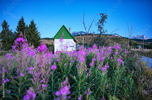 Nice rural house with pink ...