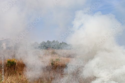 Fire in the meadow, billowing thick smoke © Photozi