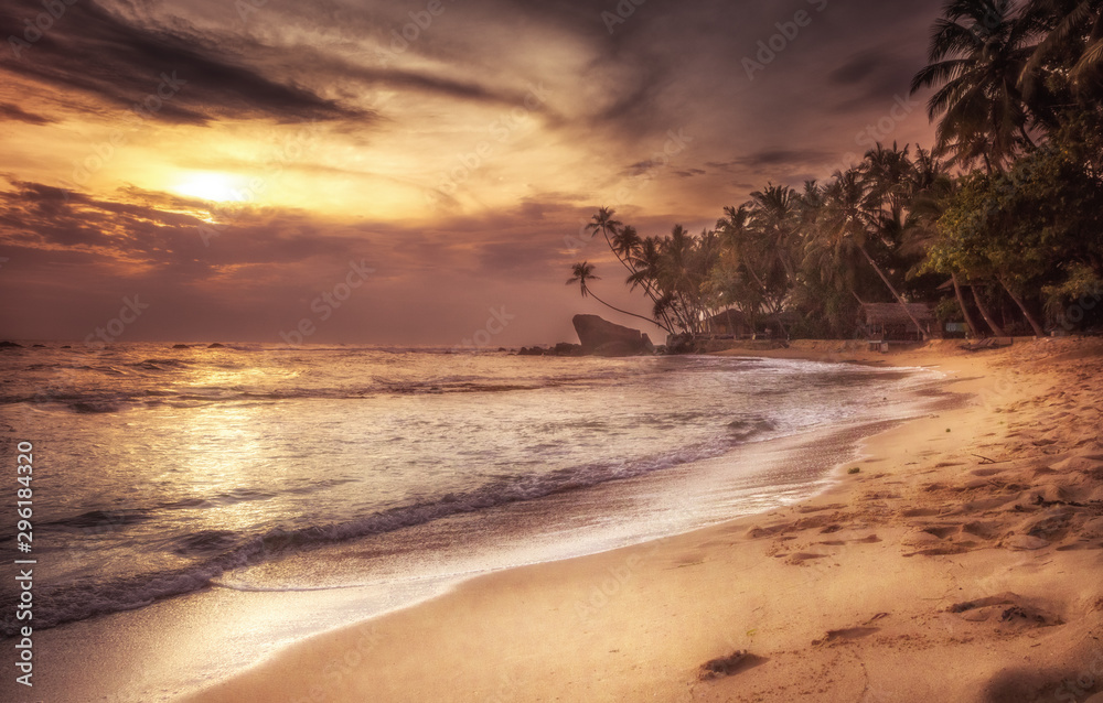 Beach palm trees sunset sea surf waves coastline scenery with orange dramatic sky as tropical island background 
