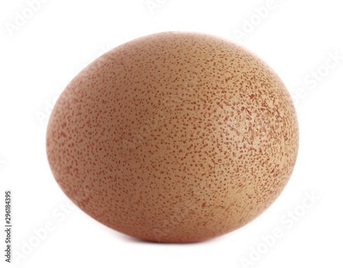 Egg isolated on white background