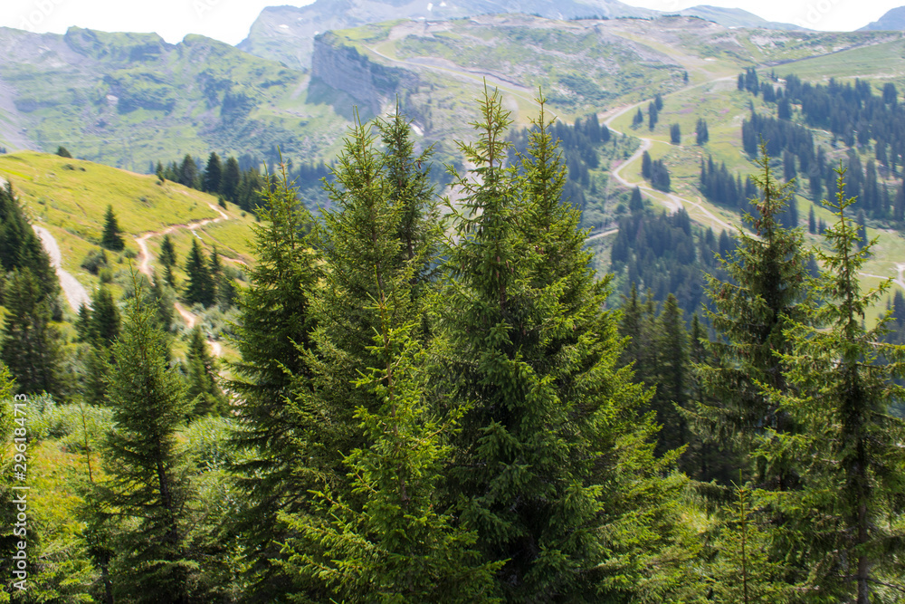 Obraz premium Montagne en été