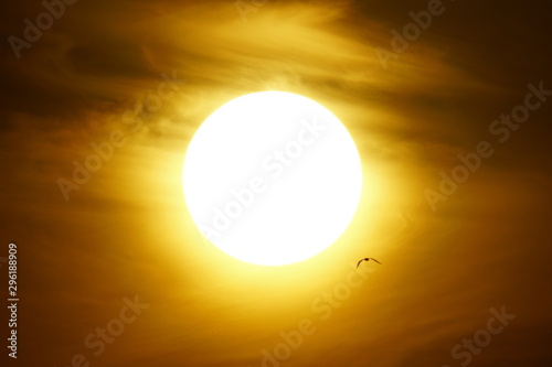 solar disk malaga andalucia spain