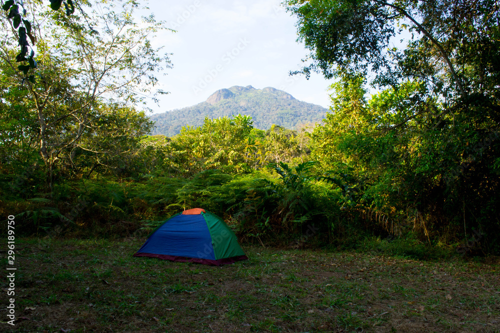 Tent in the Jungle