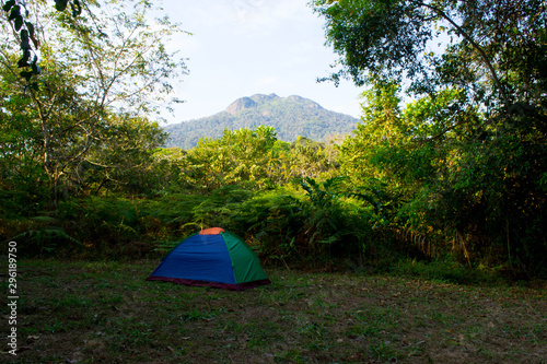 Tent in the Jungle