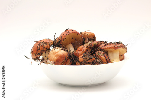 Suillus mushrooms in a ceramic soup plate isolated on a white background. Armful of dirty, unpeeled, butter fungi photo