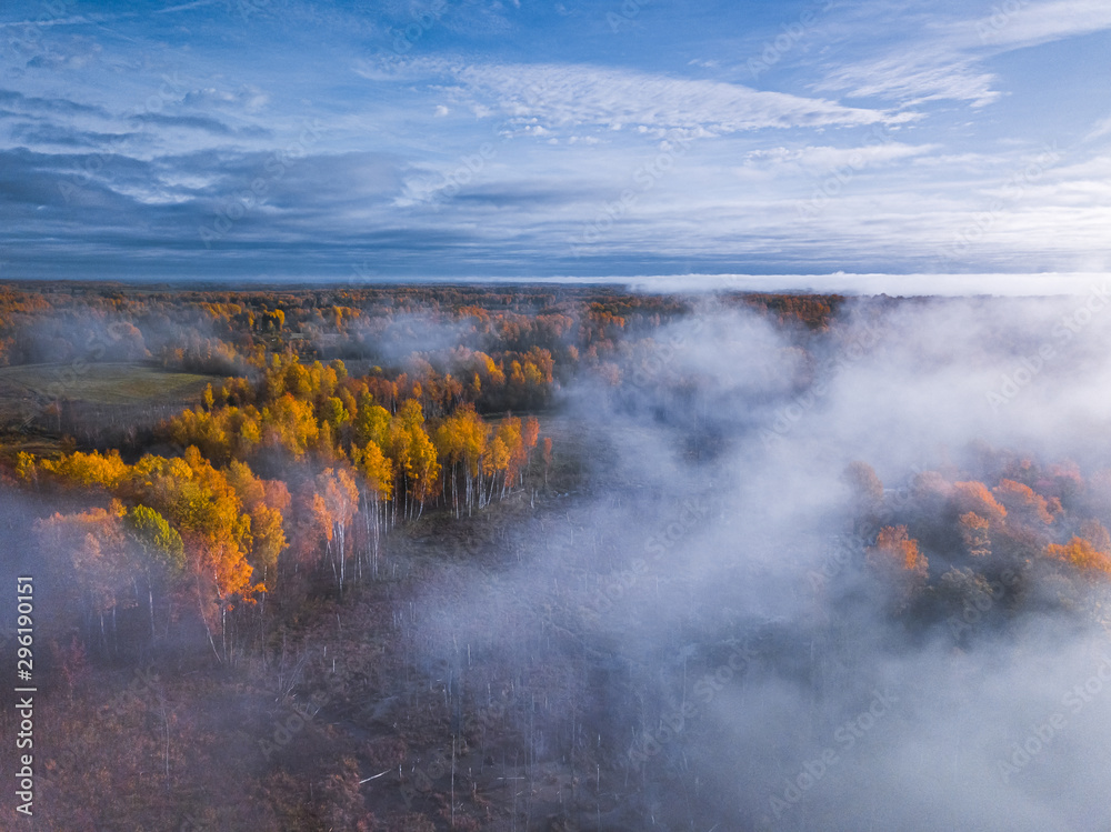 Aerial view of Dreamy foggy autumn landscape