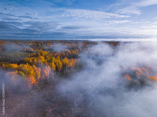 Aerial view of Dreamy foggy autumn landscape