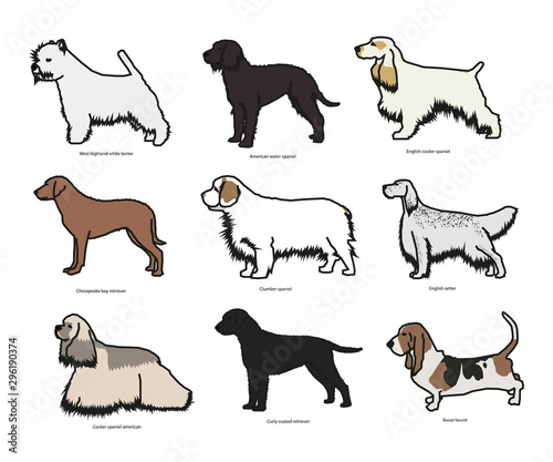 Dog breed set vector illustration 
