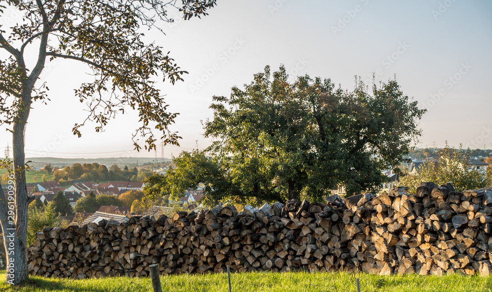 Obraz premium Baumstämme zu Brennholz gesägt und gestapelt