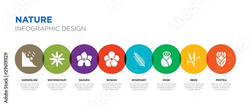 8 colorful nature vector icons set such as protea, reed, rose, rosemary, rowan, sakura, sisyrinchium, snowslide