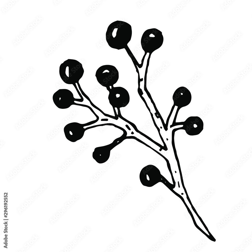 Twig Berries Christmas Decor Illustration Vector Hand Drawn