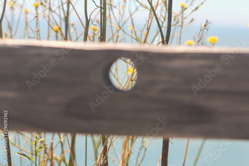 looking to the sea