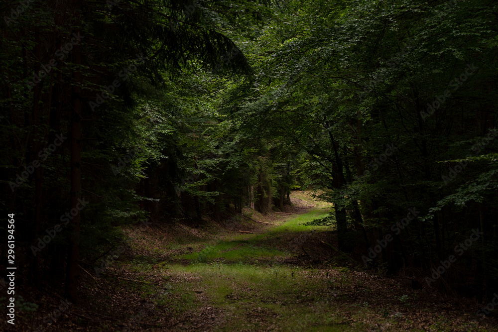 Obraz premium odenwaldweg