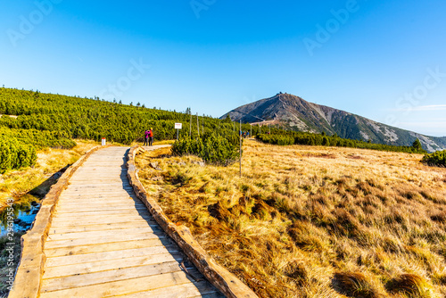 Wooden footpath leads to Snezka Mountain. Giant Mounatins, Krkonose National Park, Czech Republic