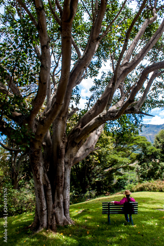 Persona disfrutando de la paz al contemplar un paisaje Persona disfrutando de la paz al contemplar un paisaje