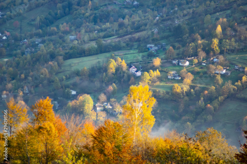 Colored deciduous forest in the mountains in the afternoon