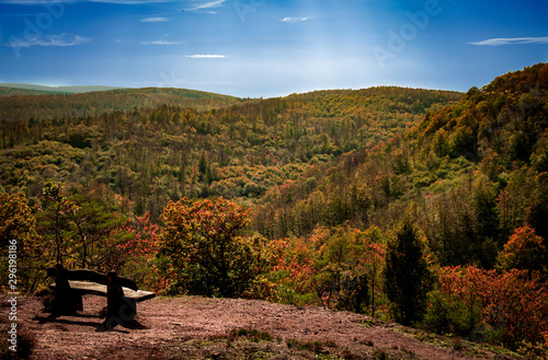Thüringer Wald