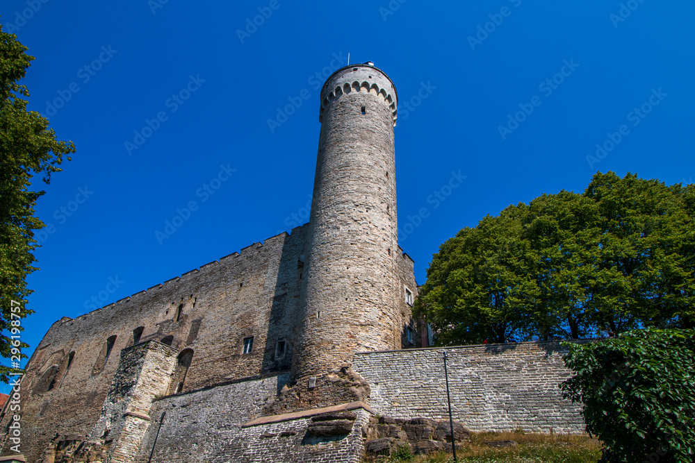 The historic Pikk Hermann tower in Tallinn, the capital of Estonia.