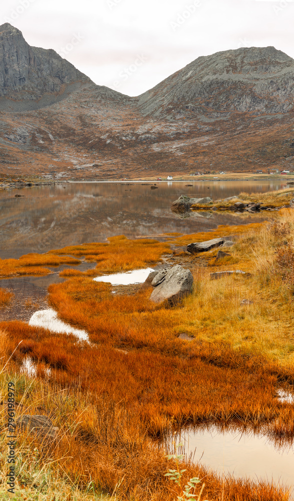 Fototapeta premium Norwegia Lofoty