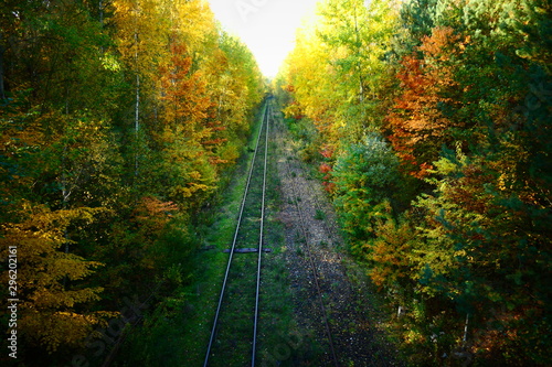 Tory kolejowe w jesiennym lesie w słoneczny dzień