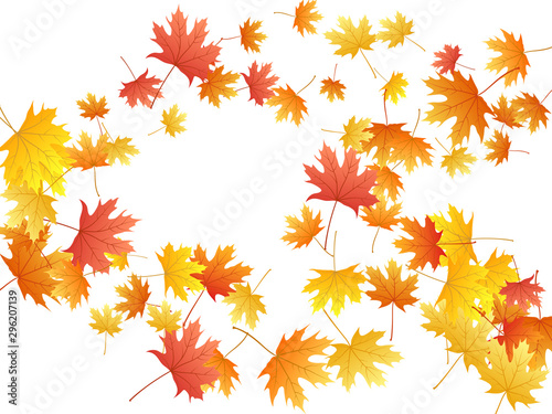 Maple leaves vector background, autumn foliage on white graphic design.